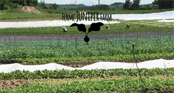 Desktop Screenshot of juniperfarm.ca